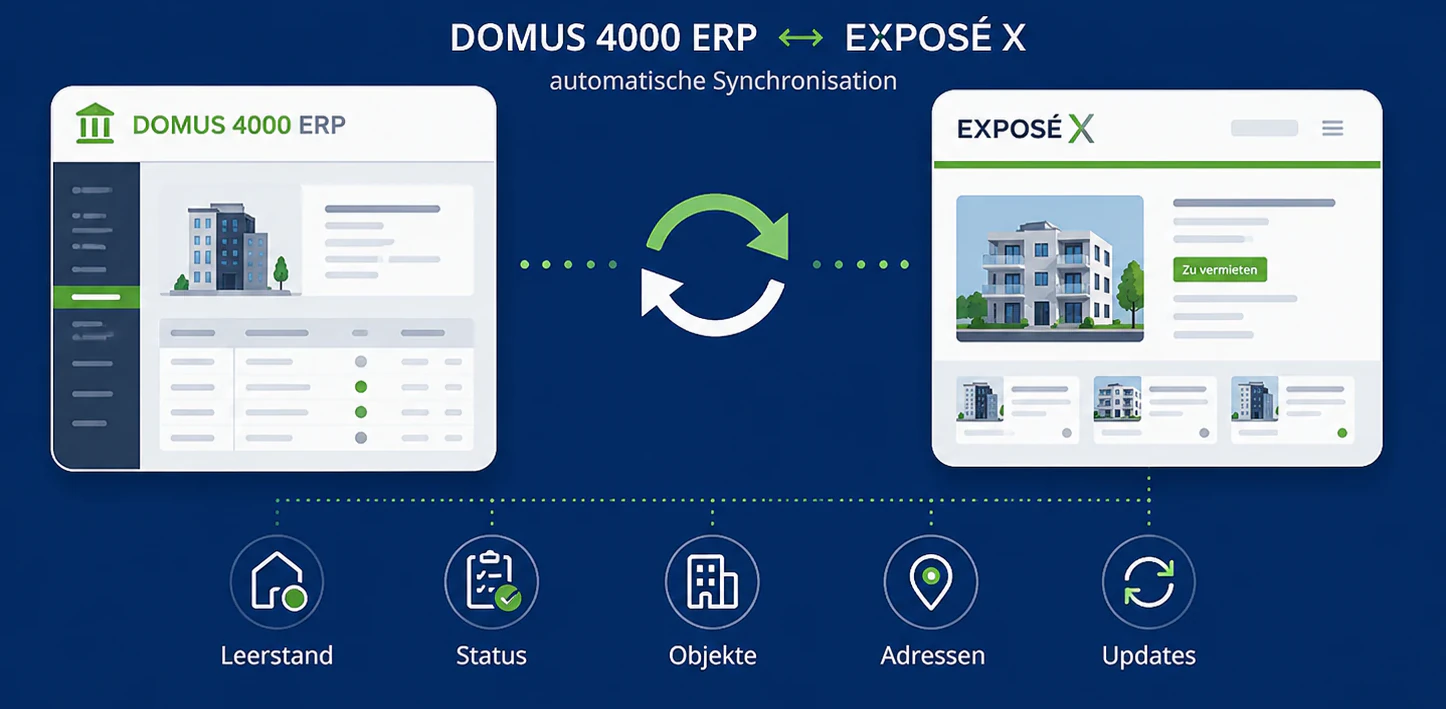 Domus_Grafik